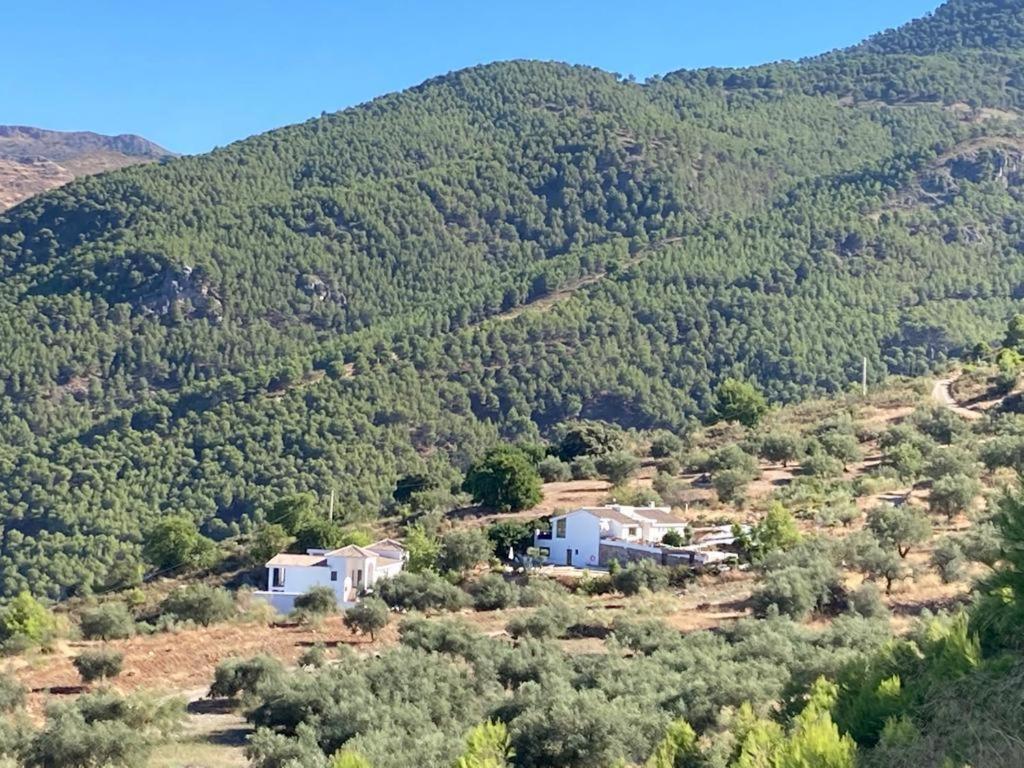 Apartamento La Fuente Alcaucín Eksteriør bilde